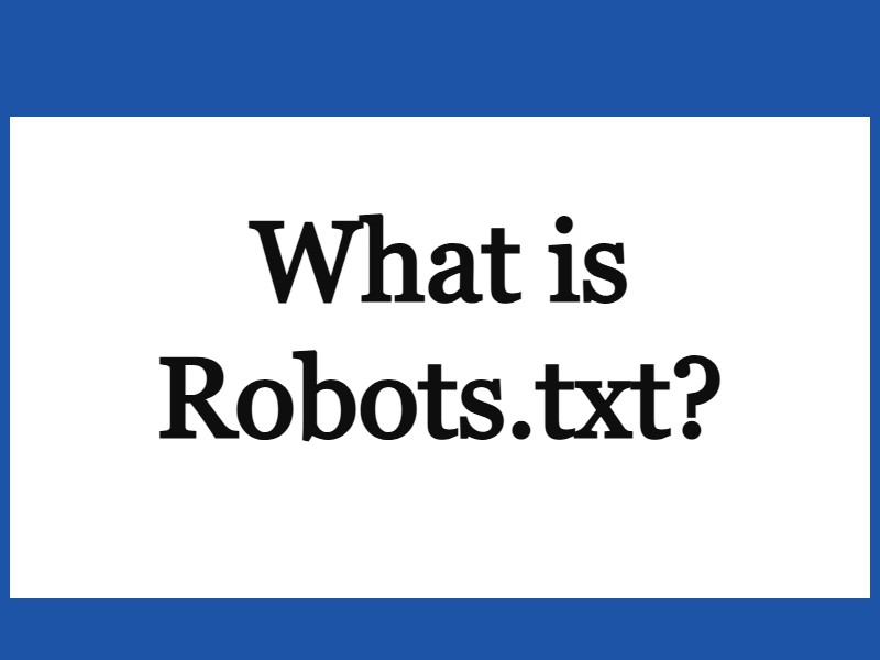 What is Robots.txt?